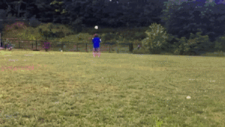 Acid Gifdump, June 12, 2015 (25 gifs)