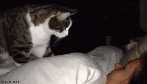 Acid Gifdump, June 12, 2015 (25 gifs)