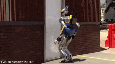 Acid Gifdump, June 12, 2015 (25 gifs)