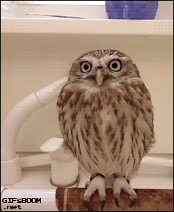 Acid Gifdump, June 12, 2015 (25 gifs)