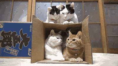 Acid Gifdump, June 12, 2015 (25 gifs)