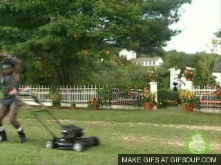 Acid Gifdump, June 12, 2015 (25 gifs)
