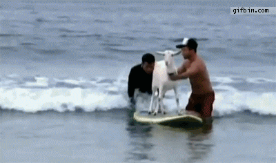 Acid Gifdump, July 08, 2015 (25 gifs)