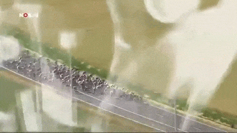 Acid Gifdump, July 08, 2015 (25 gifs)