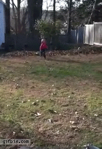 Acid Gifdump, July 08, 2015 (25 gifs)