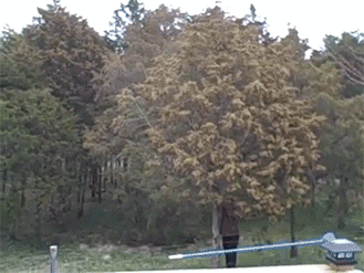 Acid Gifdump, July 21, 2015 (25 gifs)