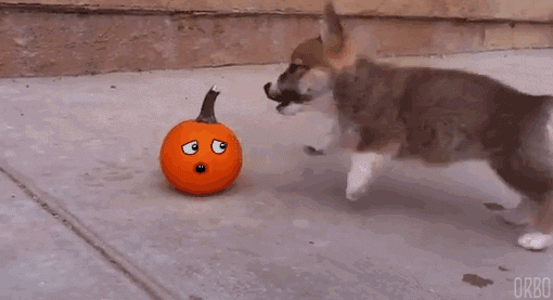 Acid Gifdump, July 21, 2015 (25 gifs)