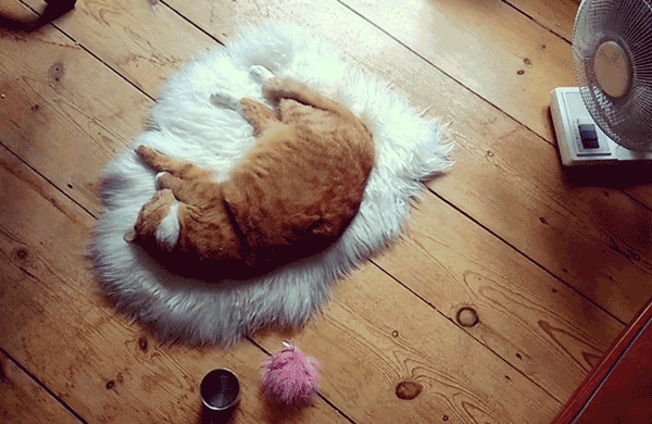 Acid Gifdump, July 21, 2015 (25 gifs)