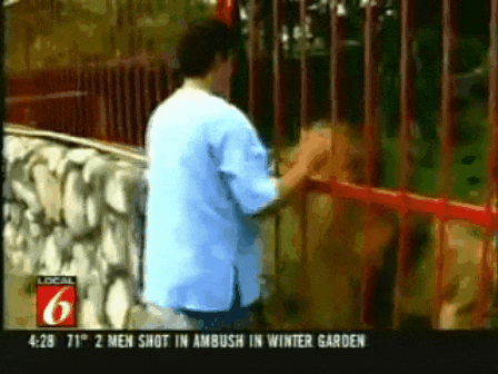 Acid Gifdump, July 21, 2015 (25 gifs)