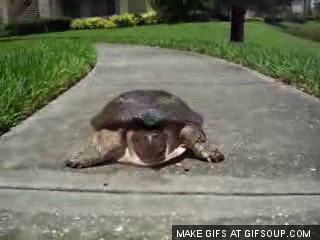 Acid Gifdump, July 21, 2015 (25 gifs)