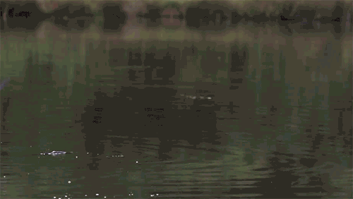Acid Gifdump, July 30, 2015 (25 gifs)
