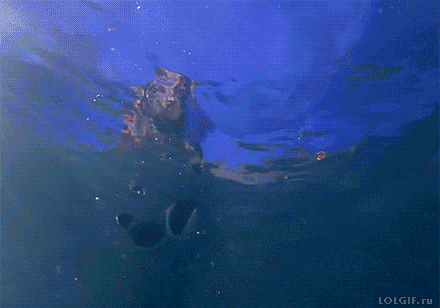 Acid Gifdump, July 30, 2015 (25 gifs)