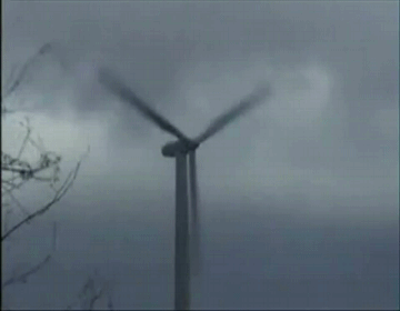 Acid Gifdump, July 30, 2015 (25 gifs)