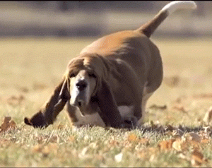 Acid Gifdump, July 30, 2015 (25 gifs)