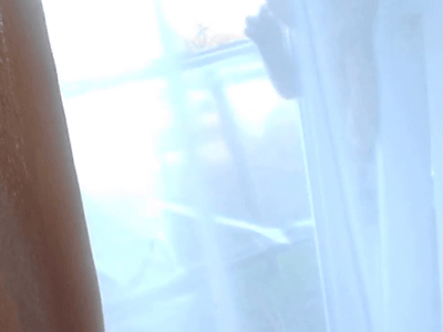 Acid Gifdump, July 30, 2015 (25 gifs)