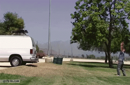 Acid Gifdump, July 30, 2015 (25 gifs)