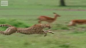 Acid Gifdump, July 30, 2015 (25 gifs)