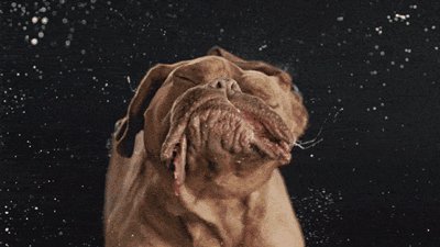 Acid Gifdump, July 30, 2015 (25 gifs)