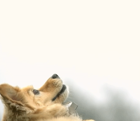 Acid Gifdump, July 30, 2015 (25 gifs)
