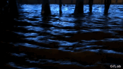 Acid Gifdump, August 07, 2015 (25 gifs)