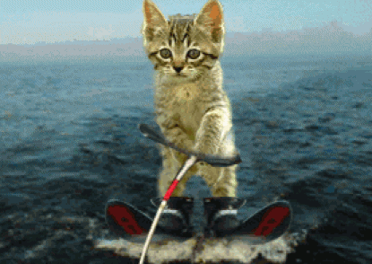 Acid Gifdump, August 07, 2015 (25 gifs)