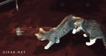 Acid Gifdump, August 07, 2015 (25 gifs)