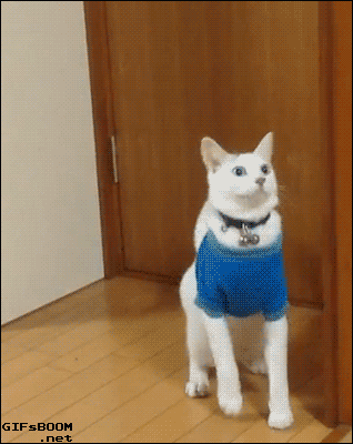 Acid Gifdump, August 18, 2015 (25 gifs)