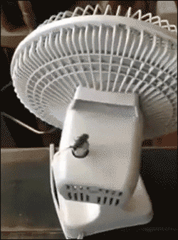Acid Gifdump, August 18, 2015 (25 gifs)