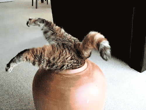 Acid Gifdump, August 18, 2015 (25 gifs)