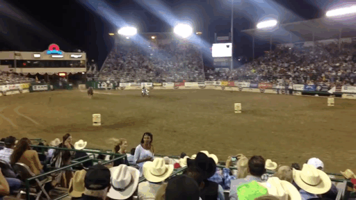 Acid Gifdump, August 18, 2015 (25 gifs)