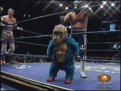 Acid Gifdump, August 18, 2015 (25 gifs)