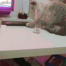 Acid Gifdump, August 18, 2015 (25 gifs)