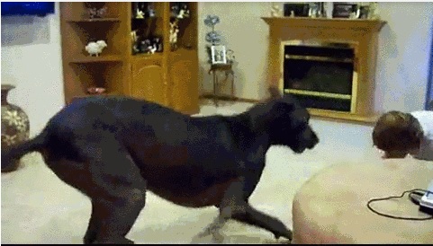 Acid Gifdump, September 03, 2015 (25 gifs)