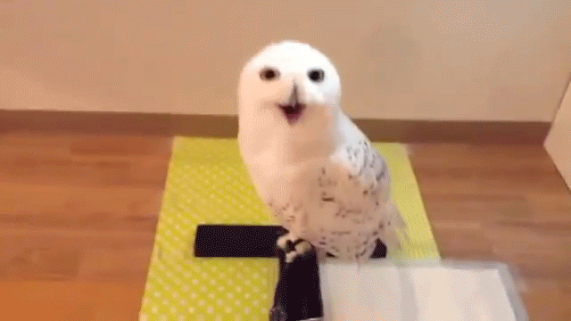 Acid Gifdump, September 04, 2015 (25 gifs)