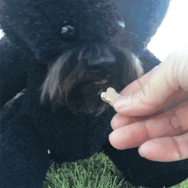 Acid Gifdump, September 04, 2015 (25 gifs)