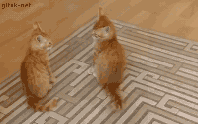 Acid Gifdump, September 04, 2015 (25 gifs)