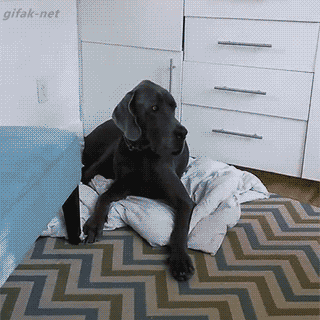 Acid Gifdump, September 04, 2015 (25 gifs)