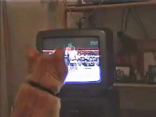 Acid Gifdump, September 04, 2015 (25 gifs)