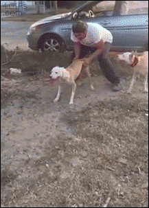 Acid Gifdump, September 04, 2015 (25 gifs)