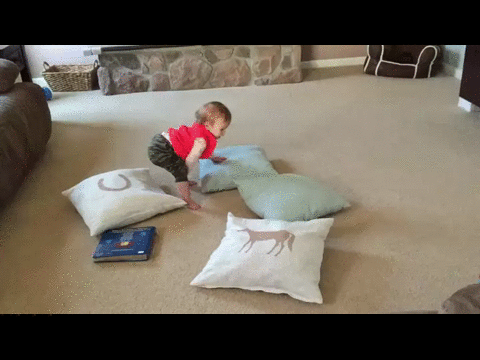 Acid Gifdump, September 11, 2015 (25 gifs)