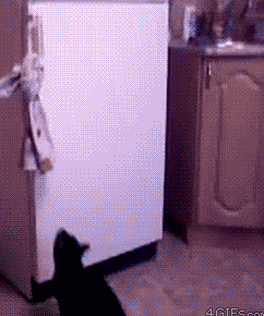 Acid Gifdump, September 11, 2015 (25 gifs)