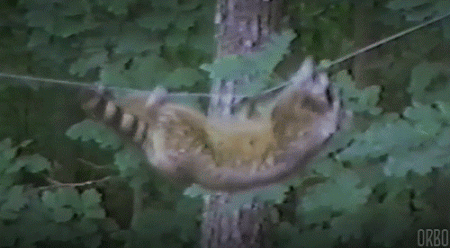Acid Gifdump, September 17, 2015 (25 gifs)