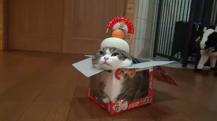 Acid Gifdump, September 21, 2015 (25 gifs)