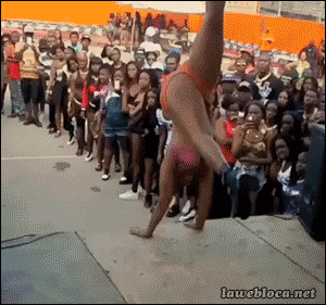 Acid Gifdump, September 21, 2015 (25 gifs)