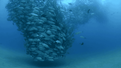 Acid Gifdump, September 21, 2015 (25 gifs)