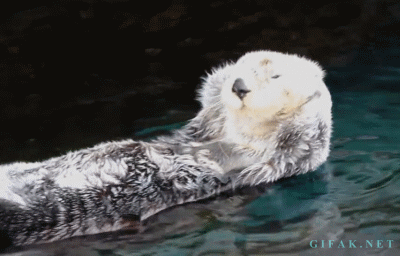 Acid Gifdump, September 21, 2015 (25 gifs)