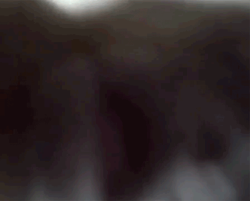 Acid Gifdump, September 21, 2015 (25 gifs)