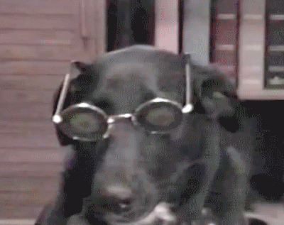 Acid Gifdump, October 13, 2015 (25 gifs)