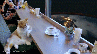 Acid Gifdump, October 13, 2015 (25 gifs)