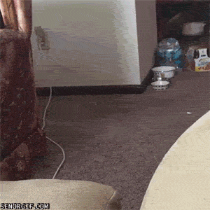 Acid Gifdump, October 13, 2015 (25 gifs)